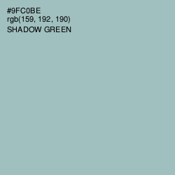 #9FC0BE - Shadow Green Color Image